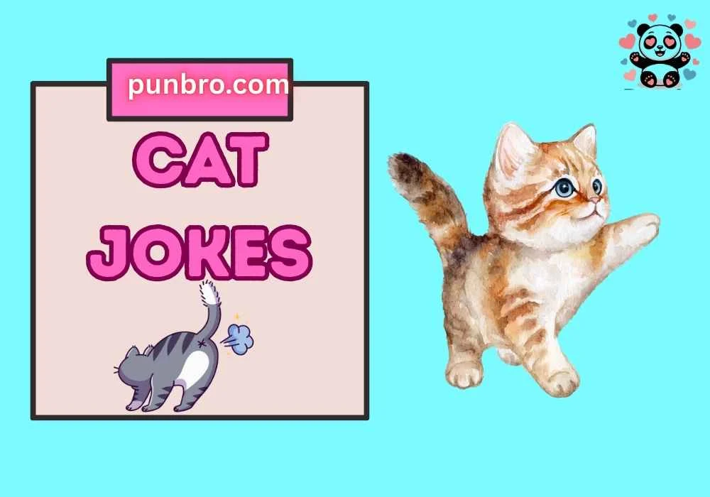 Cat Jokes