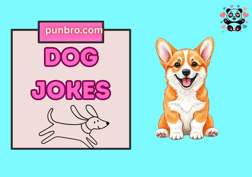 Dog Jokes