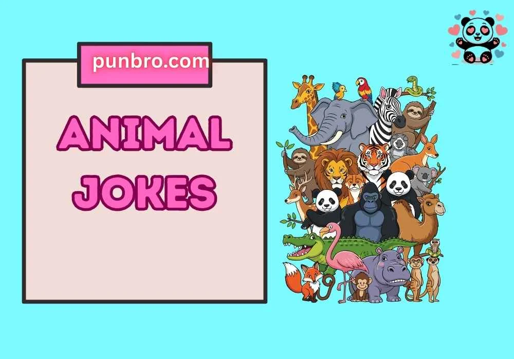 Animal Jokes